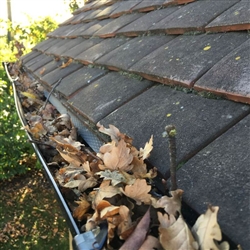 Autumn causes a leafy problem for gutters